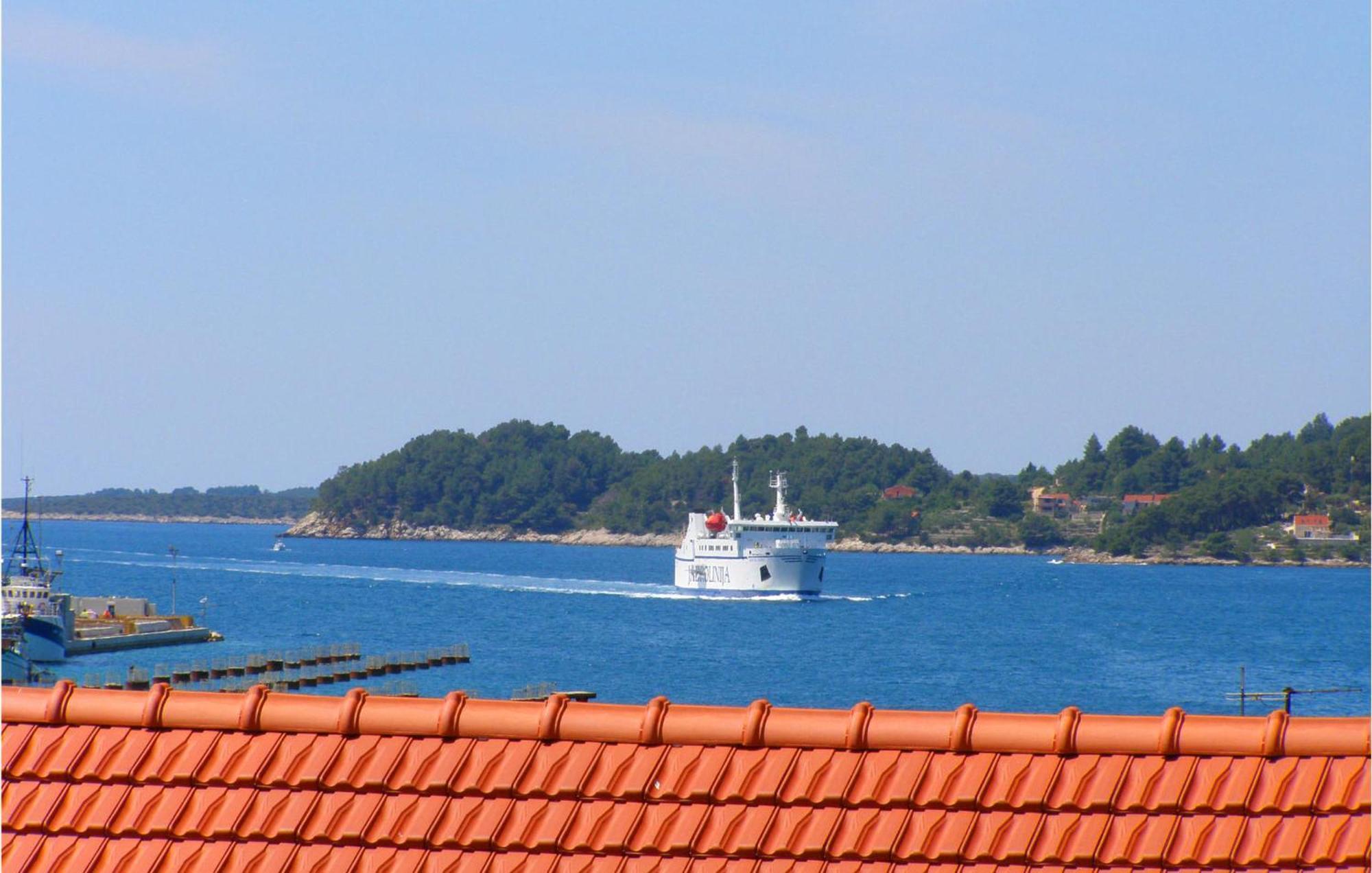 Beautiful Apartment In Vela Luka With Wifi Extérieur photo